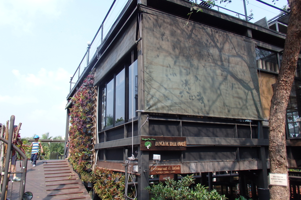 Bangkok Tree house