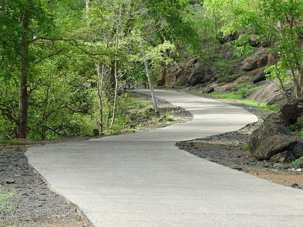Road in the Interior of Sanjay Gandhi National Park