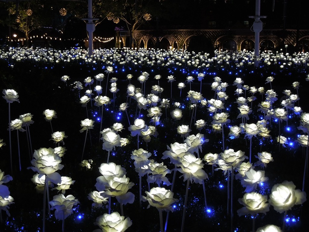 Everland at night
