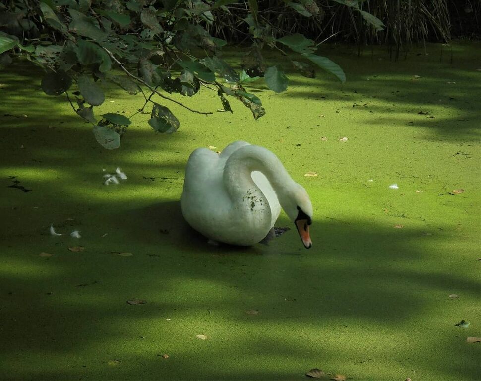 Spreewald Biosphere Reserve