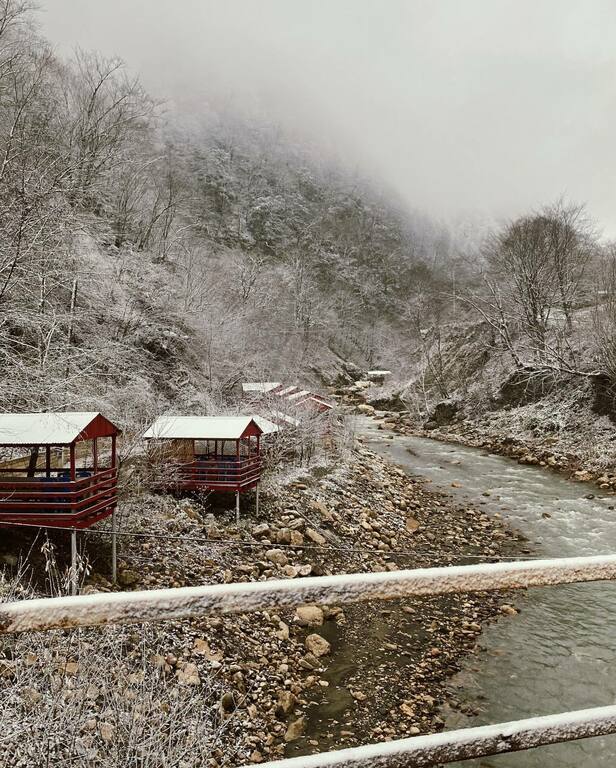Winter