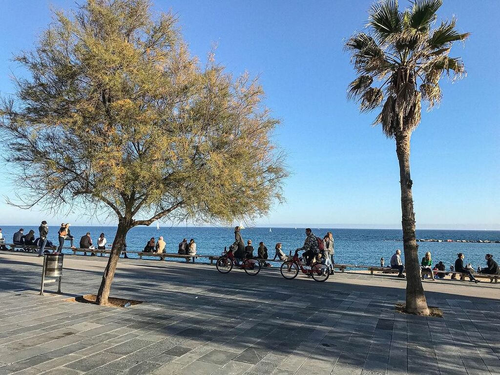 Cycling by Barcelona's coast line
