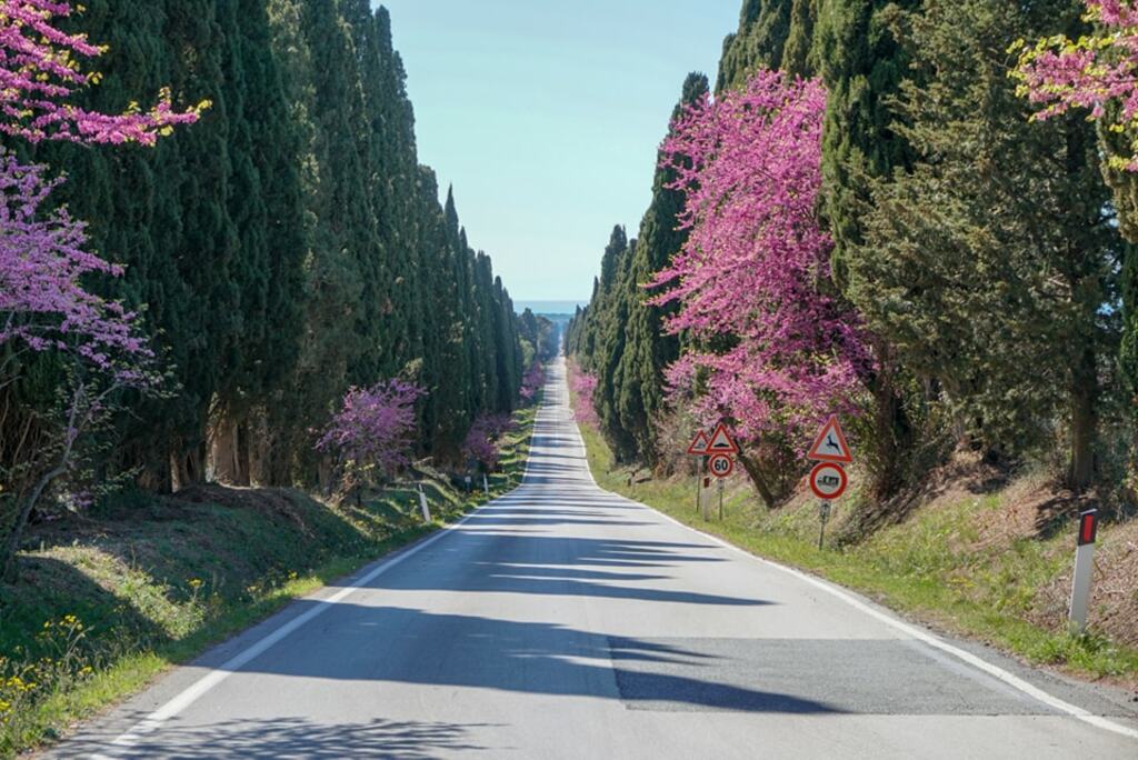 Viale dei Cipressi (Boulevard of Cypresses)