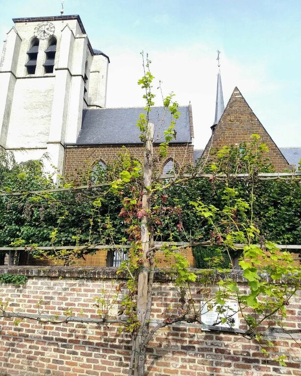 Steenen Muur