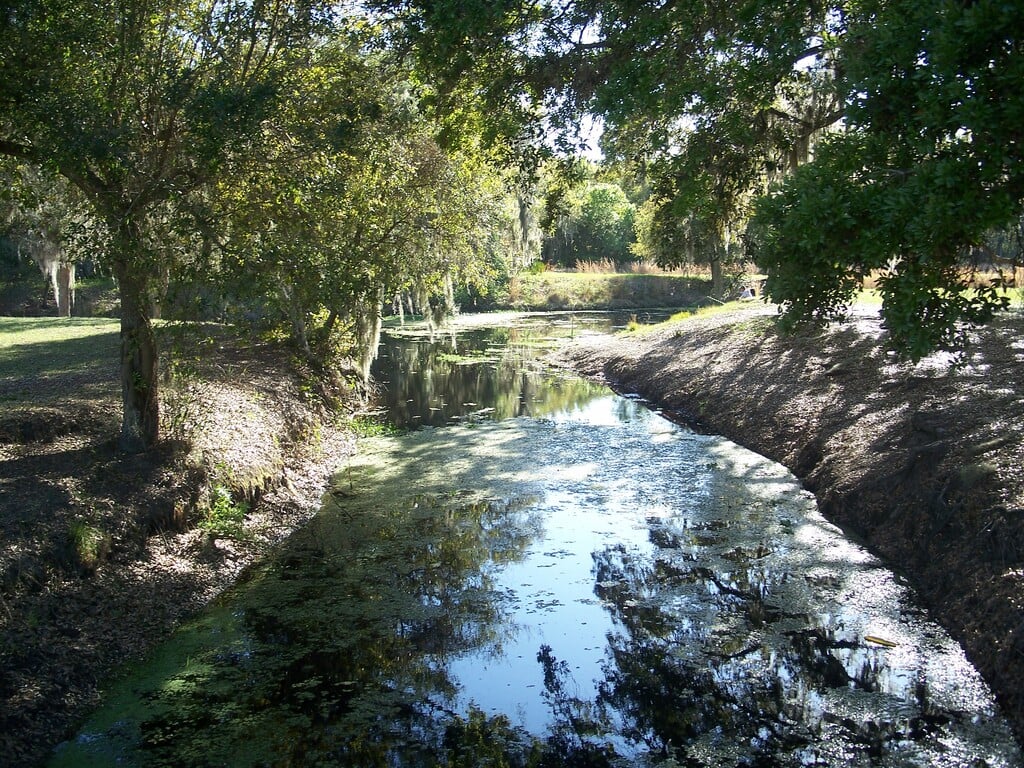 Lake Wailes Park
