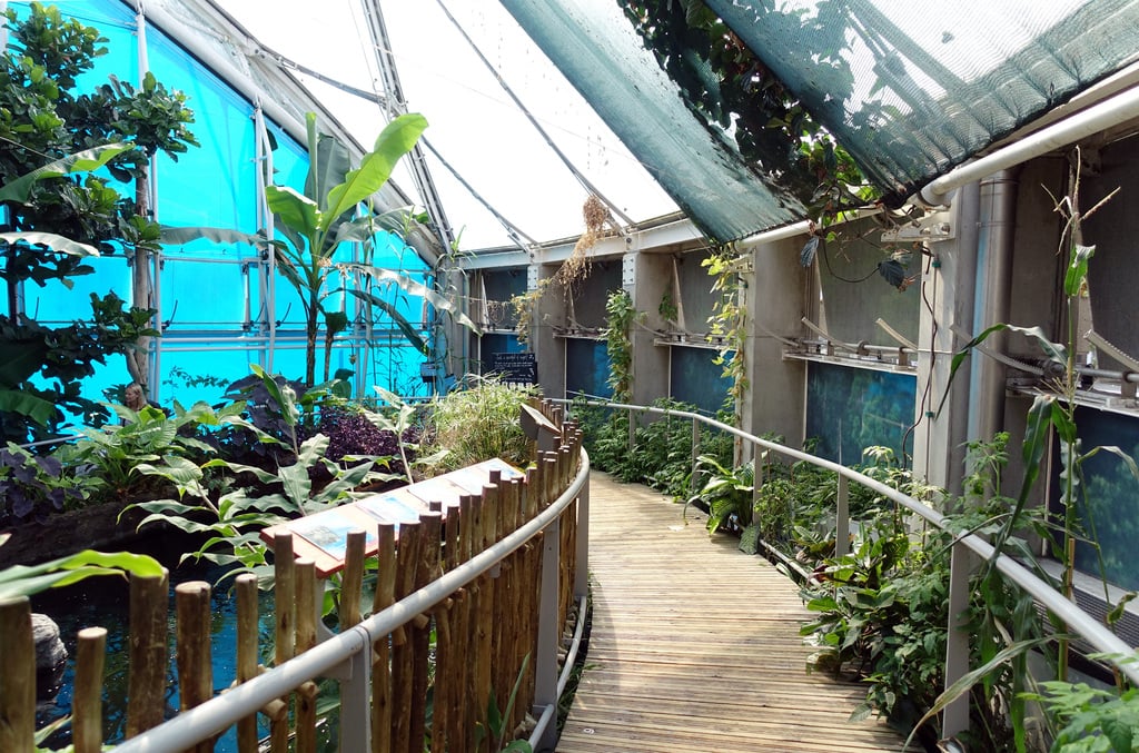 Bristol Aquarium