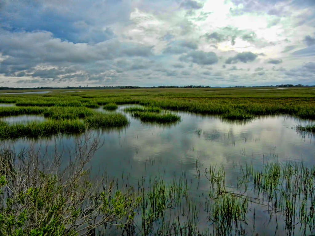 Cumberland Island Salt Marsh