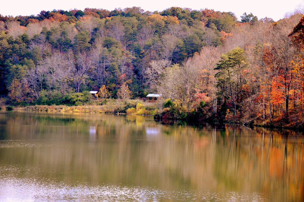 Lake at Dahlonega Georgia - panoramio