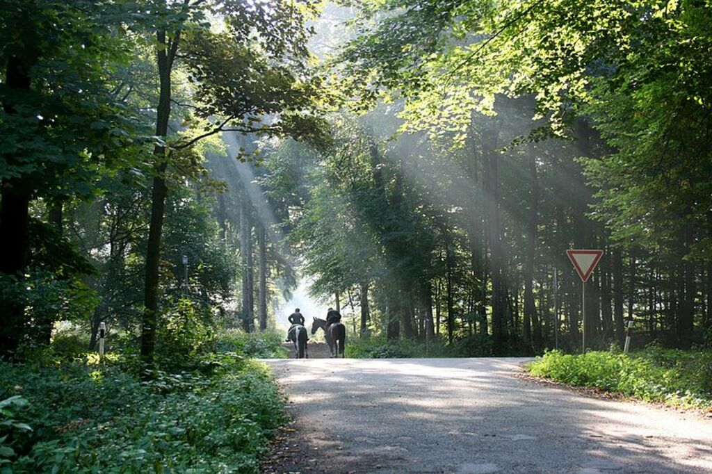 Uedem - Uedemer Hochwald 01 ies