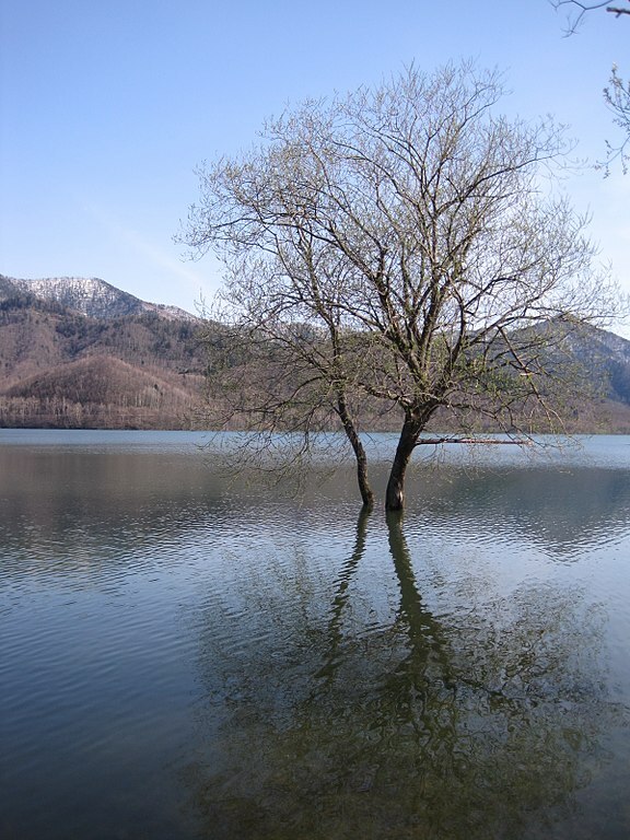 Kanayama Lake, Hokkaido, Japan - panoramio