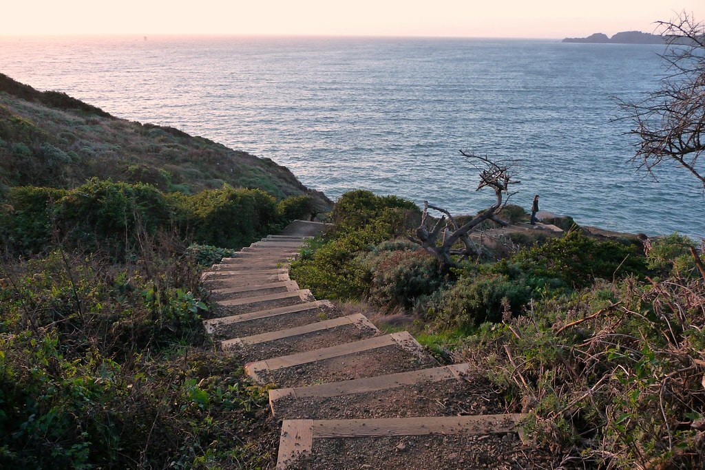 down the trail