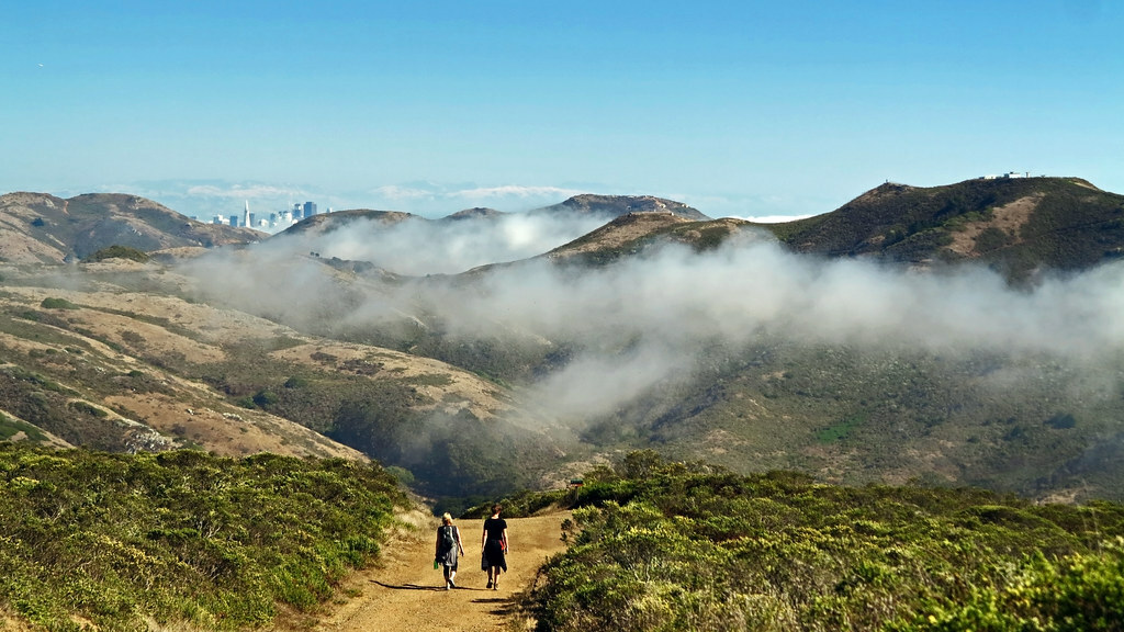 Coastal Trail in the Marin Headlands