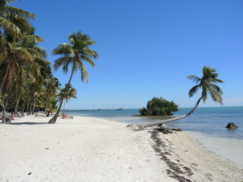Islamorada - panoramio (3)