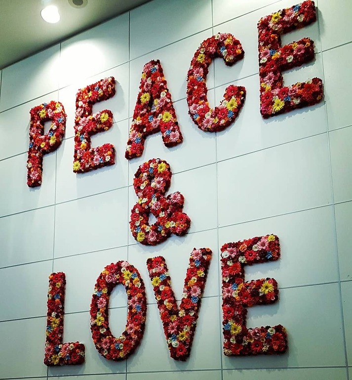 things to do in miami airport | soothe your soul by watching the instagram-worthy artworks at several art galleries and exhibits