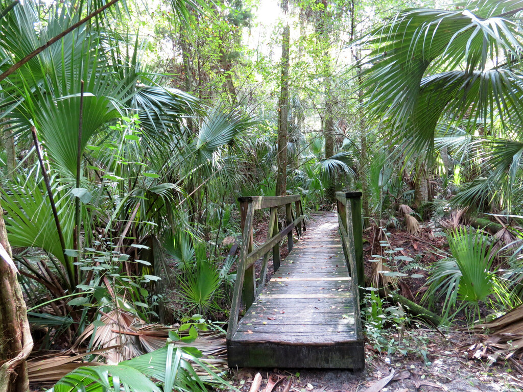 Florida Trail Bridge