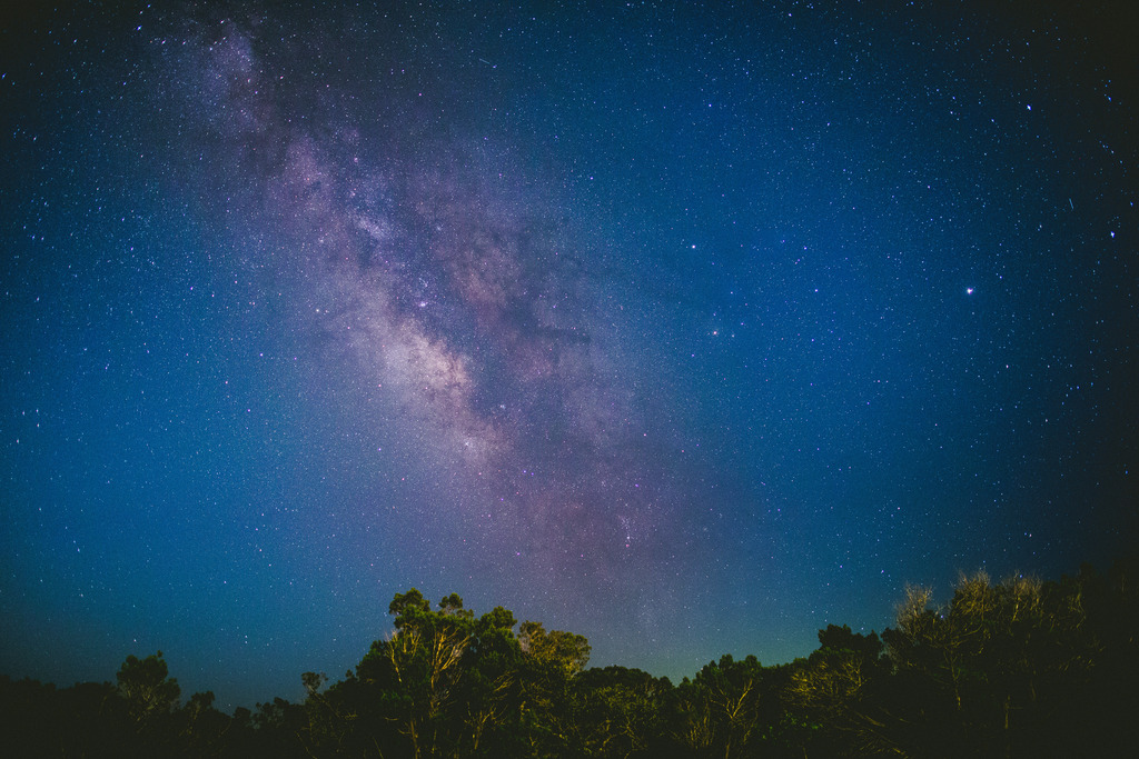 Milky Way above trees 1 (Unsplash)