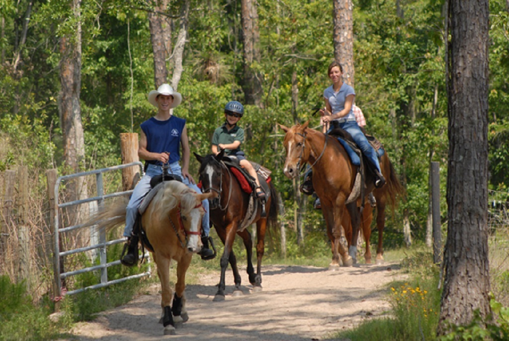 Trail at Horse World