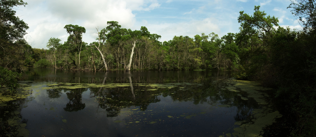 Brazos Bend State Park, Pilant Slough