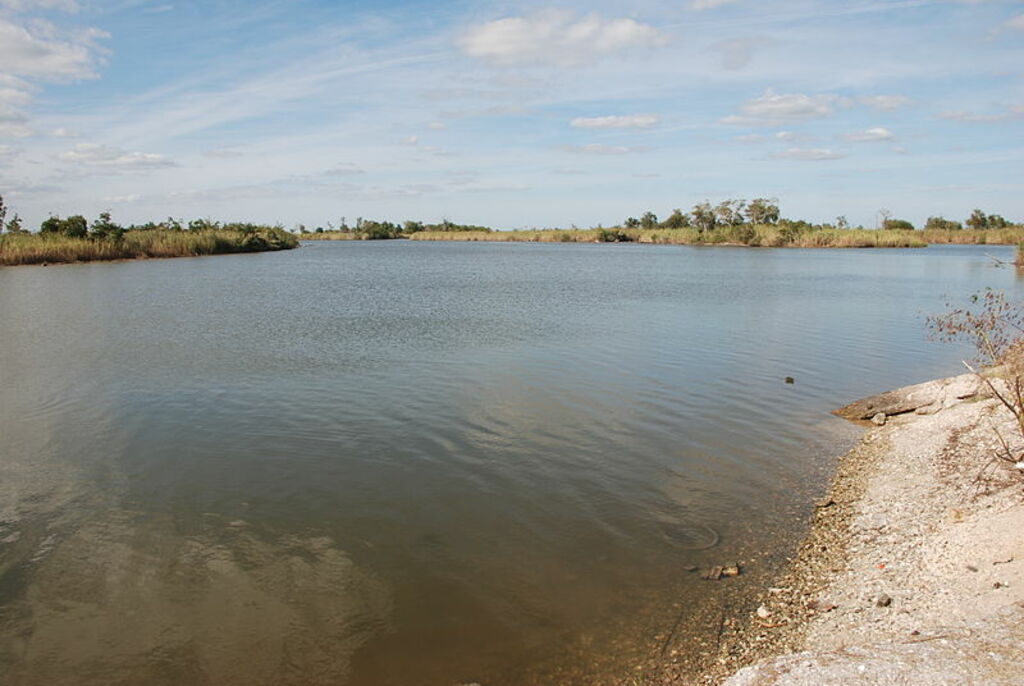 Trinity River in Anahuac TX DSC 6316 ad