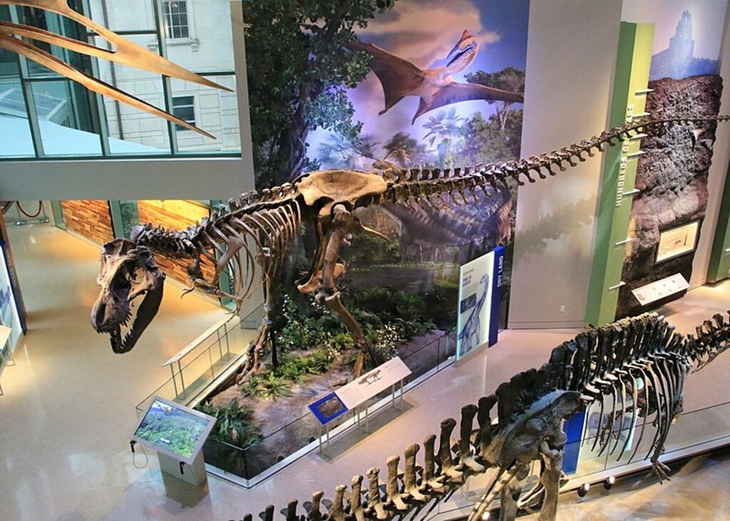 Things To Do Indoors In San Antonio