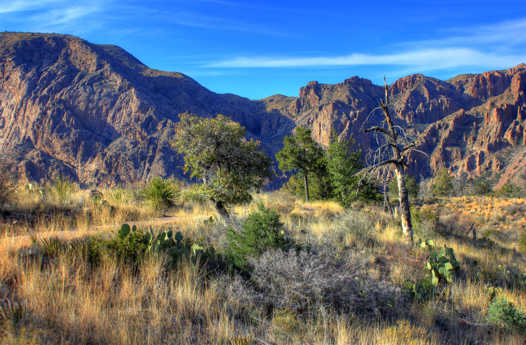 Gfp-texas-big-bend-national-park-closer-look-at-the-basin