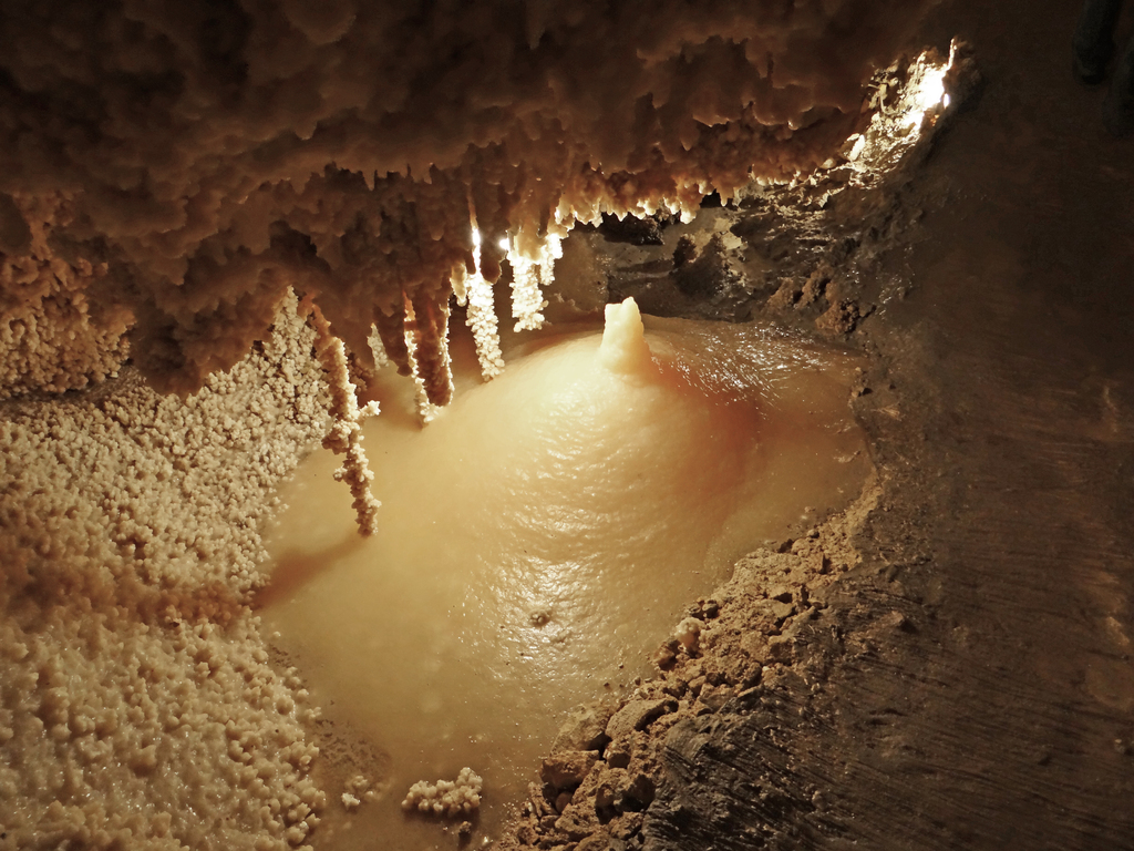Travertine speleothem (Caverns of Sonora, Texas, USA) 2