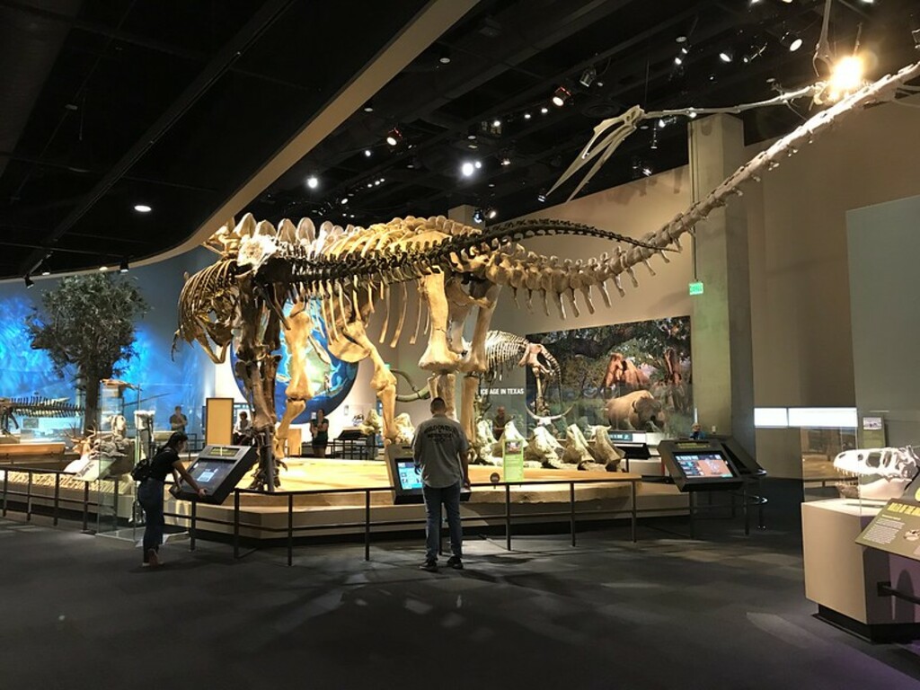 Dinosaurs at Perot Museum
