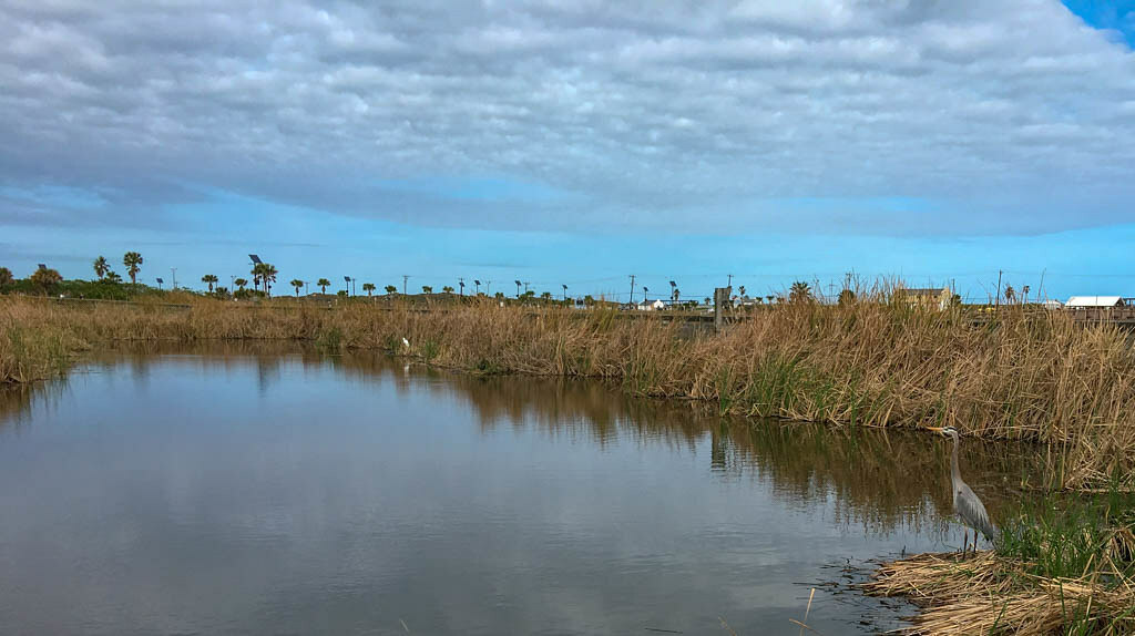 Convention Center Laguna Madre Trail - South Padre Island