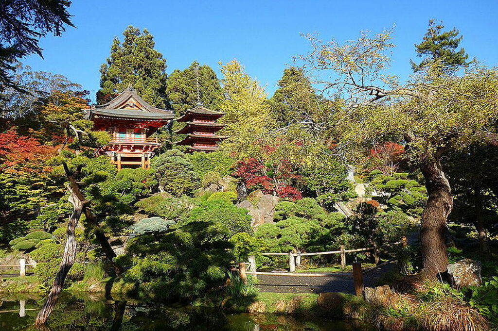 Japanese Tea Garden (San Francisco) - DSC00167
