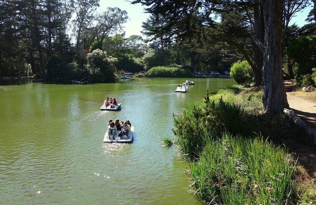 Boating on Stow Lake - Golden Gate Park, San Francisco, CA - DSC03737