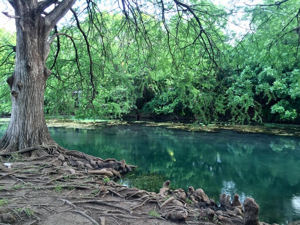 San Marcos River - Texas #jcutrer
