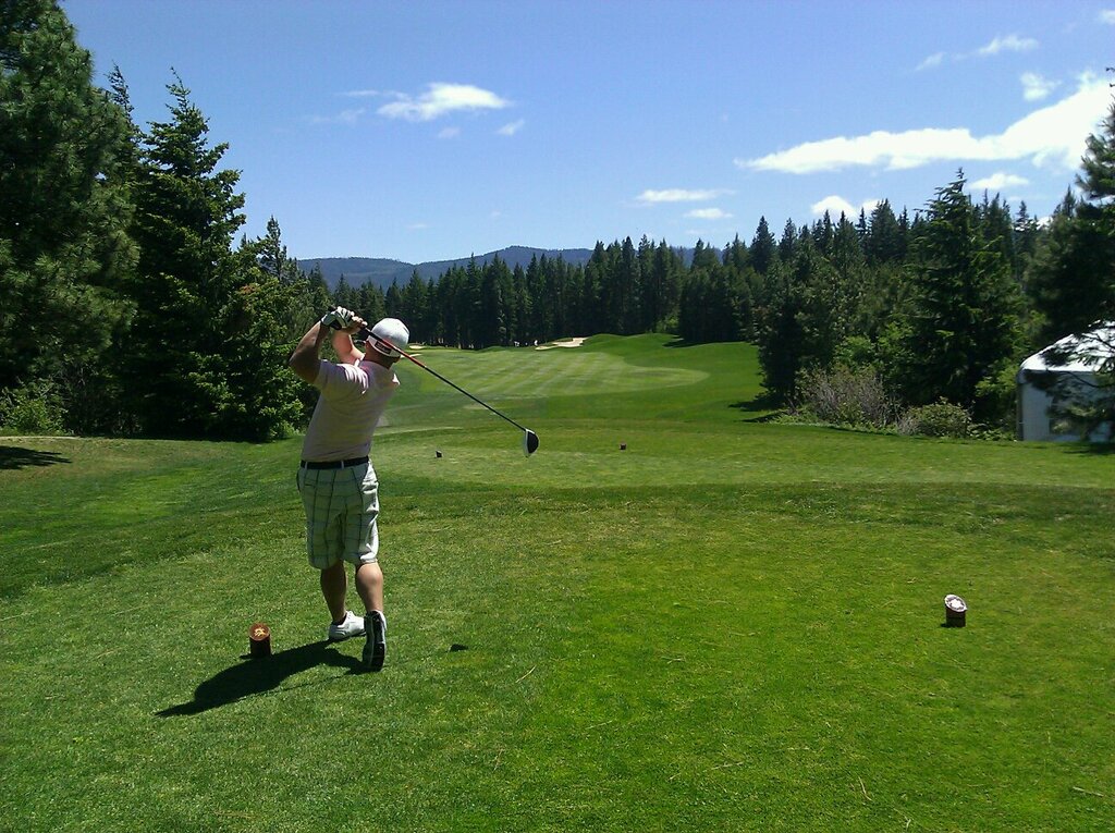 Golfer swing