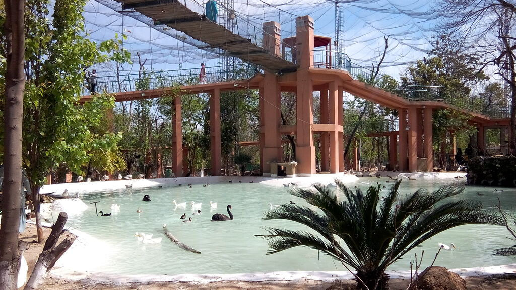 Lake View Park - Birds Aviary