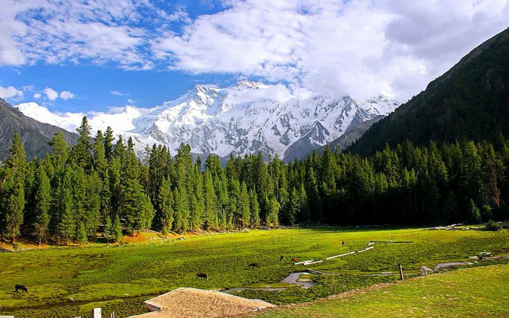 Things To Do In Pakistan 