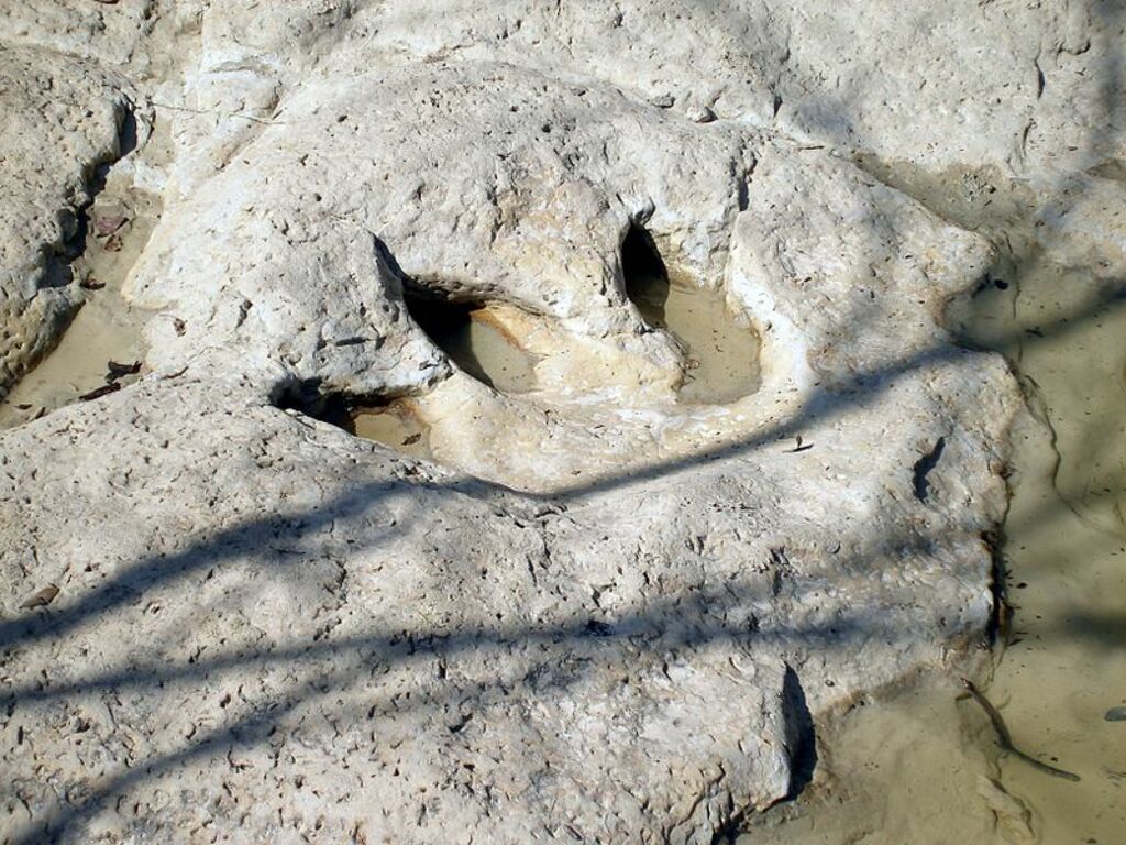 Dinosaur Valley State Park - Track2