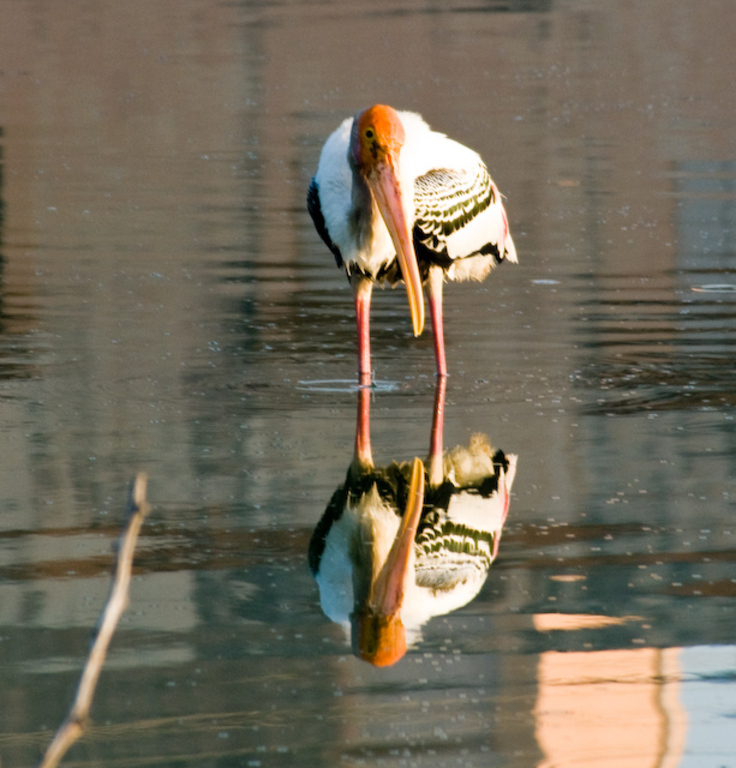 Reflection