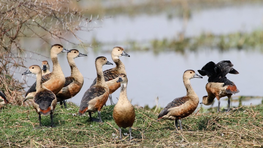 Purna Wildlife Sanctuary