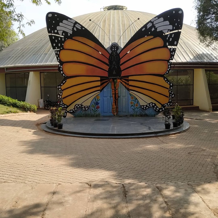outdoor activities in bangalore district | butterfly park