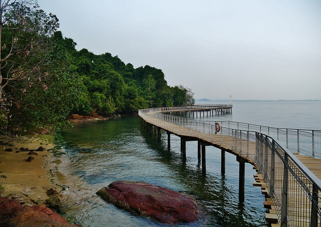 Singapore Pulau Ubin Chek Jawa 26