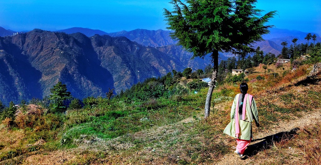 Shimla
