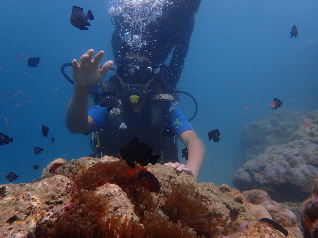 North Bay Island, Andaman & Nicobar Islands