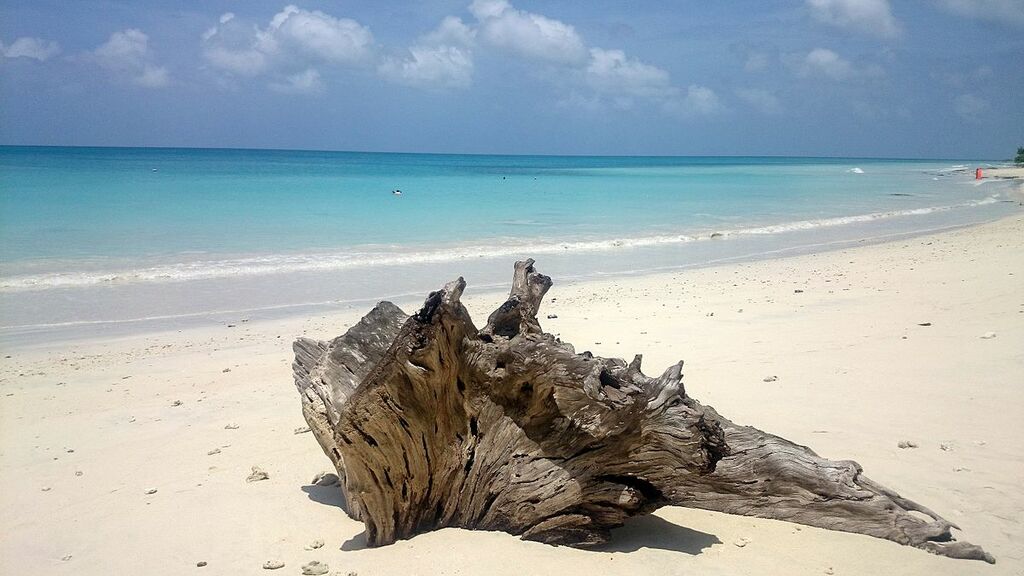 Andaman Havelok Kalapathar Beach