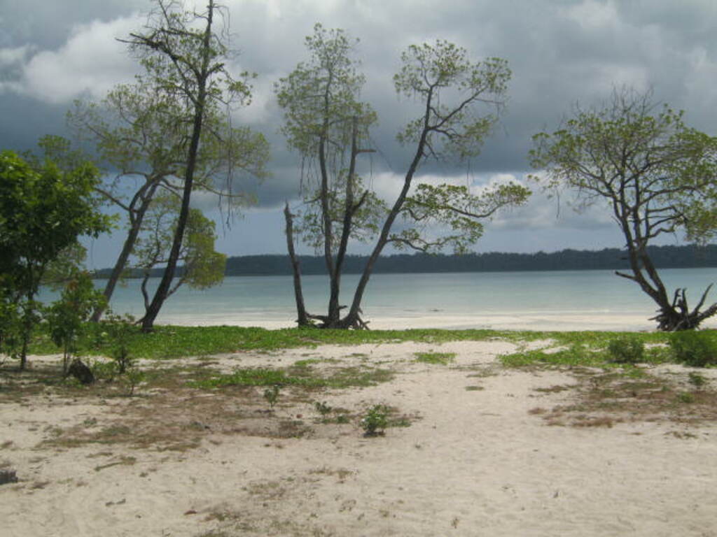 Vijaynagar beach,havelock island 01