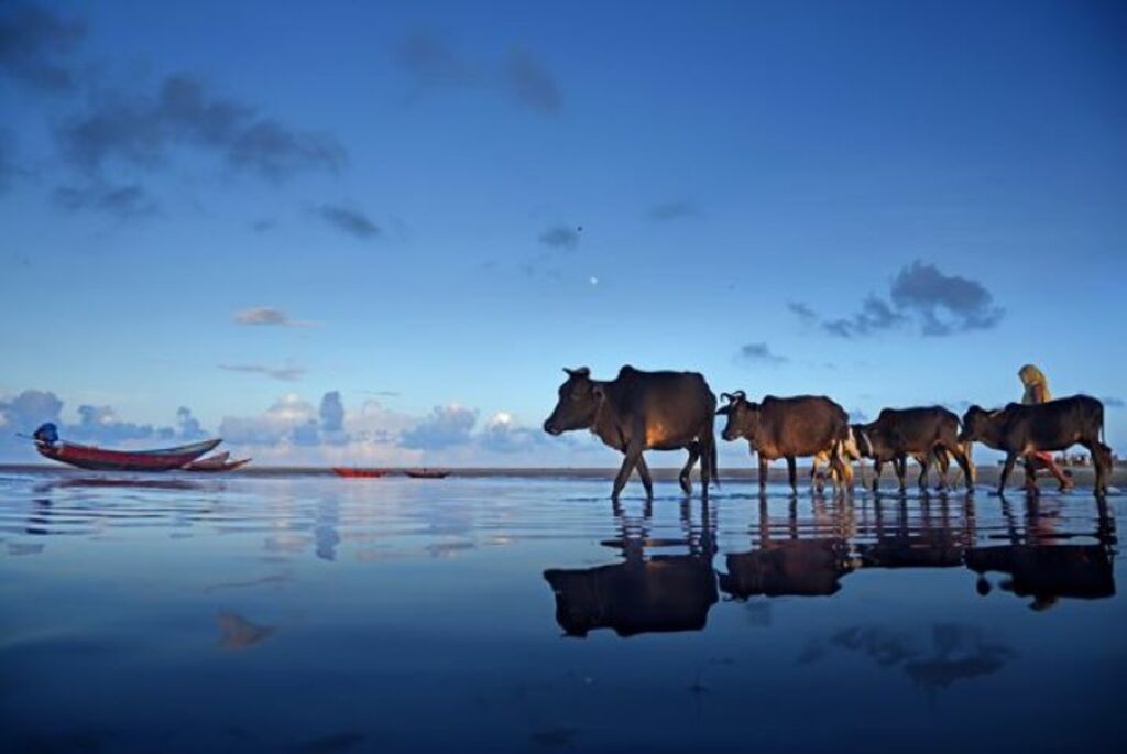Talasari Beach