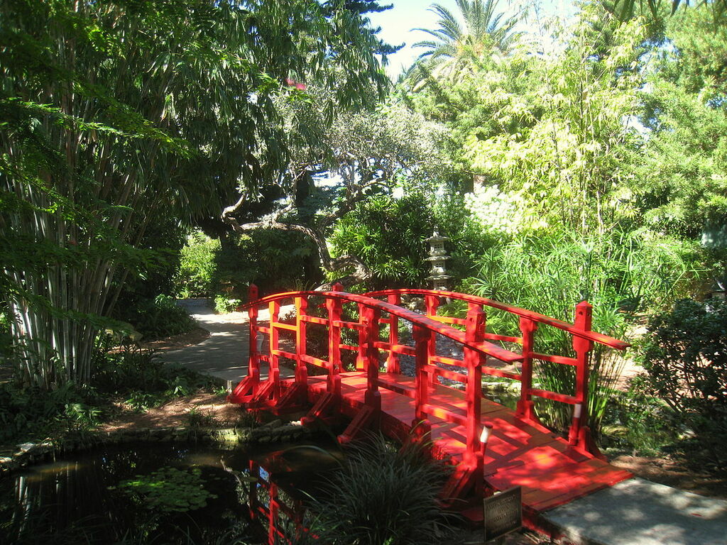 Miami Beach Botanical Garden - IMG 8027