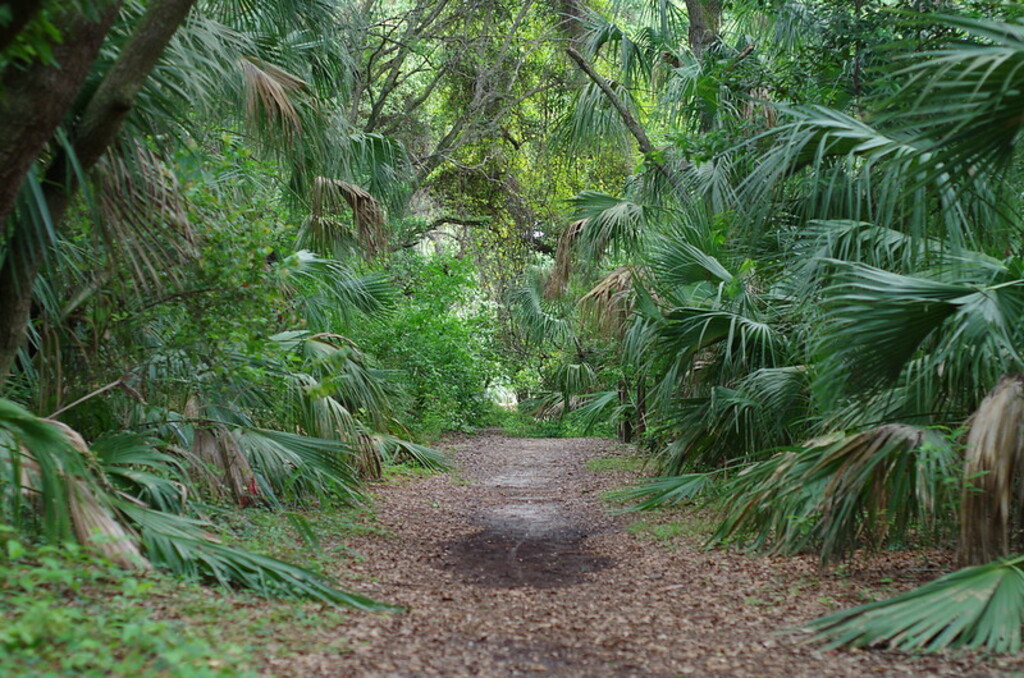 Park Path