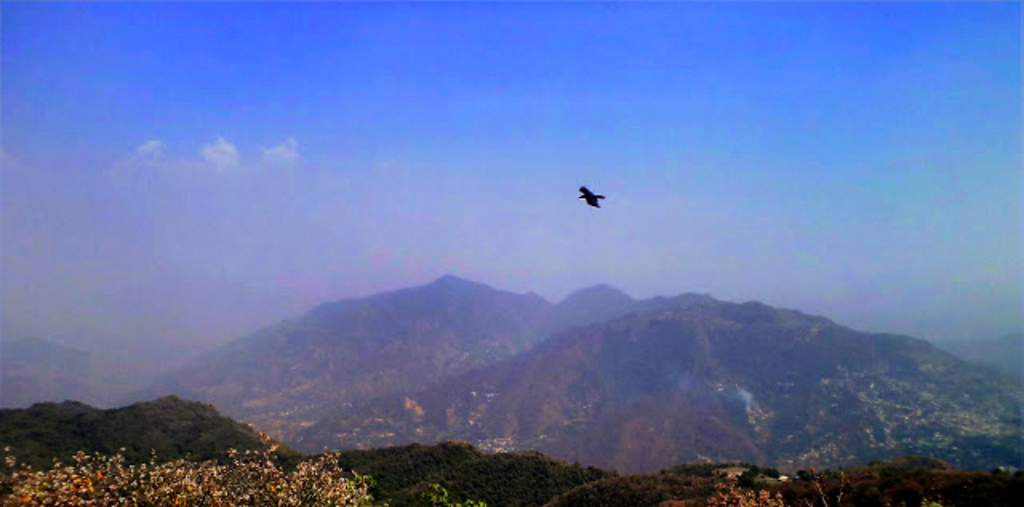 Solan city from mount karol