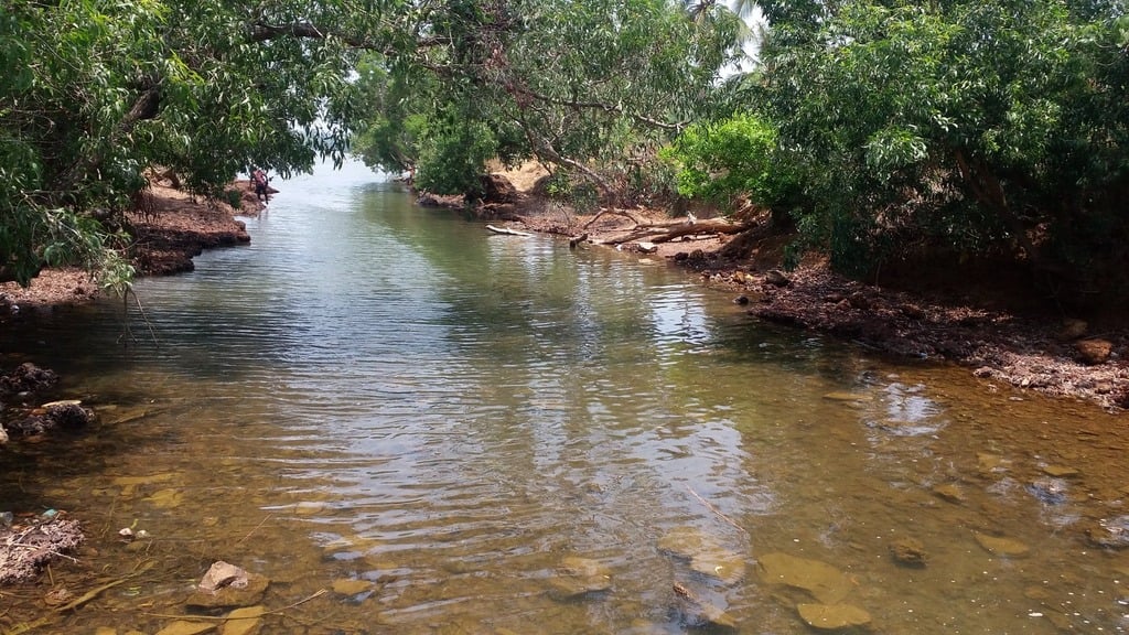 Tirur
