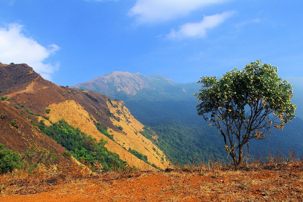 KODACHADRI