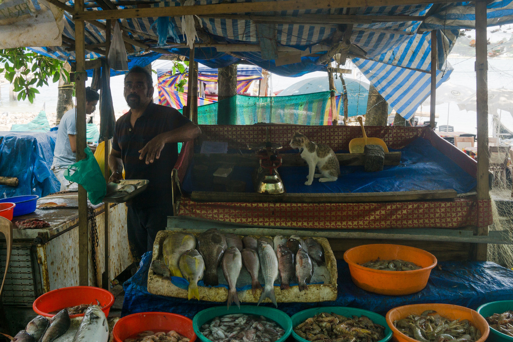 Fish seller in Fort Kochi, India, 2 March 2019